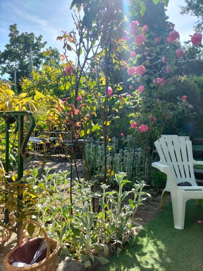 Le Jardin Secret & *